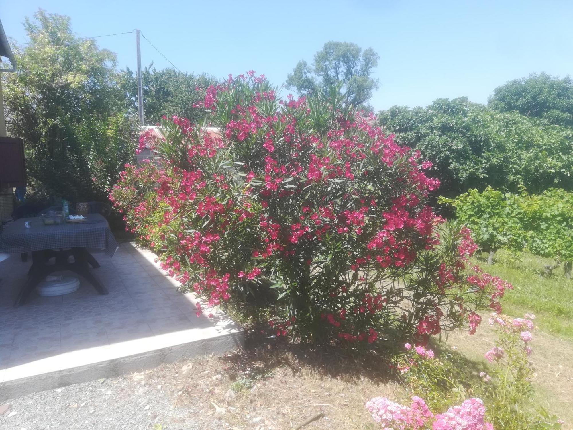 PomportLes Vignes别墅 外观 照片