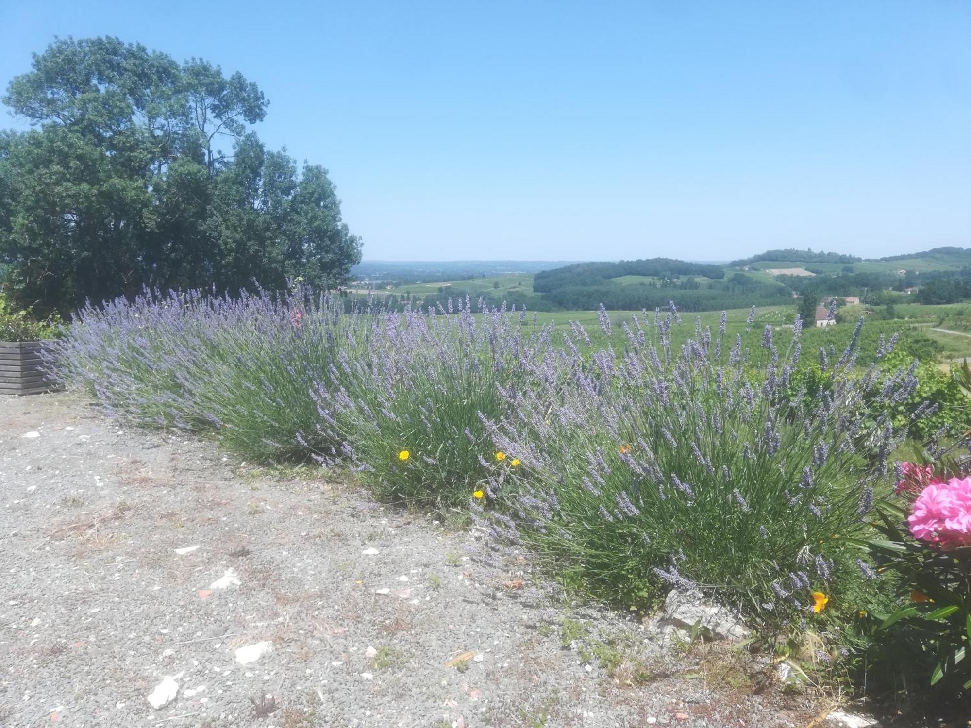 PomportLes Vignes别墅 外观 照片